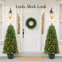 Pre-Lit Potted Christmas Tree w/ Twinkling White LEDs
